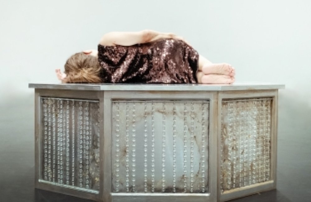 CHIARA BERSANI: L'ANIMAL