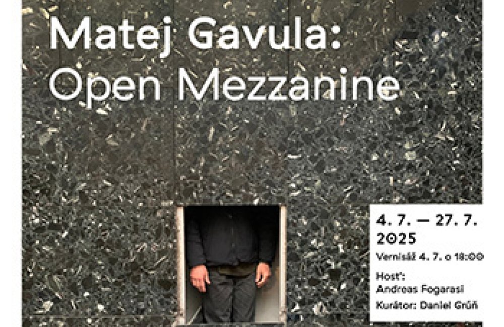 MATEJ GAVULA: OPEN MEZZANINE