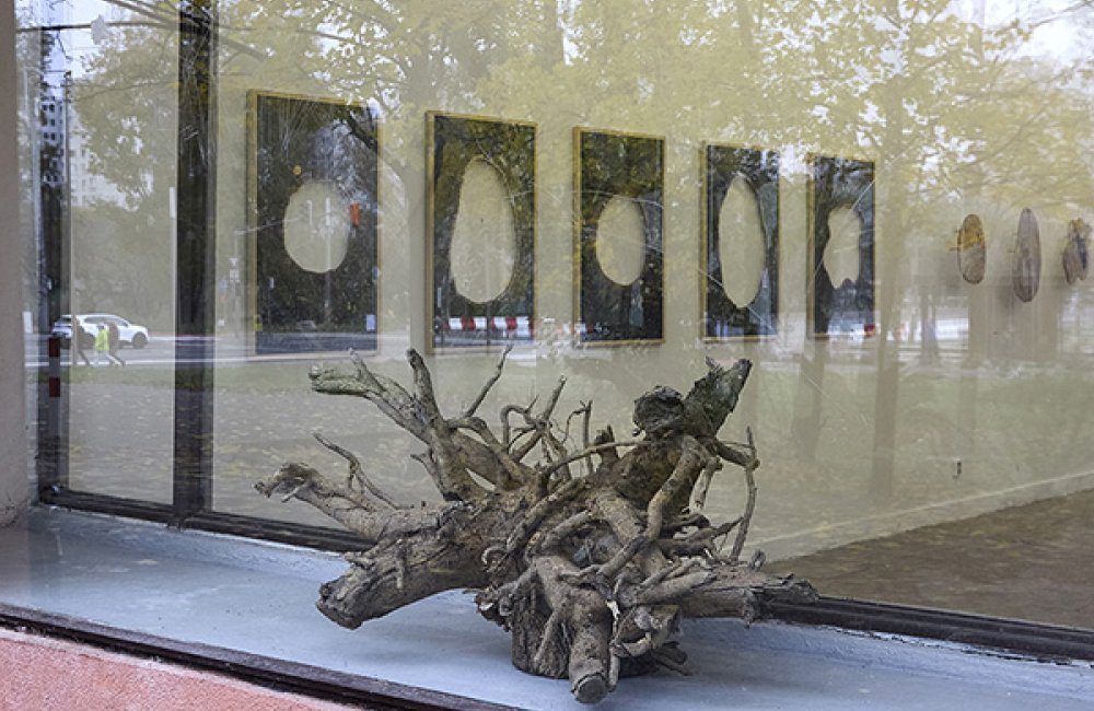 JANA ŠTURDÍKOVÁ: 85 STROMOV