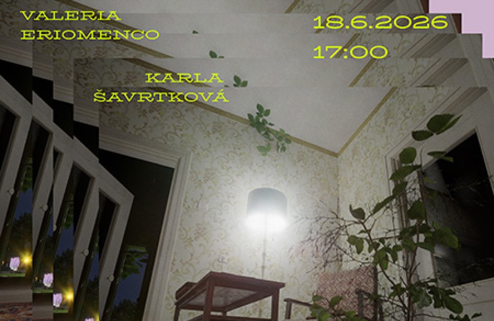 TAM, KDE SA OBRAZ STÁVA PRAHOM // WHERE THE IMAGE BECOMES A THRESHOLD
